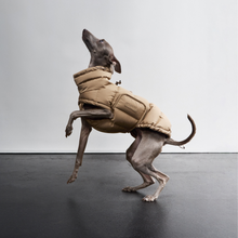 Laden Sie das Bild in den Galerie-Viewer, Cloud7 Windhundmantel Alaska Sandy Brown
