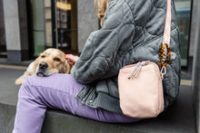 Laden Sie das Bild in den Galerie-Viewer, Leckerlibeutel - Greta, Rosa