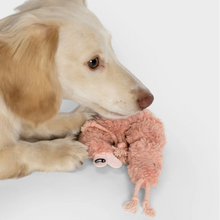Laden Sie das Bild in den Galerie-Viewer, Cloud7 Hundespielzeug LTTL Shrimp Susi