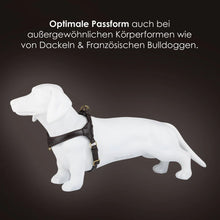 Laden Sie das Bild in den Galerie-Viewer, Step-In Leder Geschirr Pico für kleine Hunde braun
