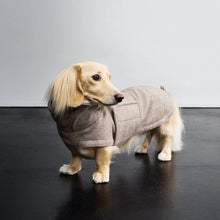 Laden Sie das Bild in den Galerie-Viewer, Cloud7 Hundemantel Dackel Brooklyn Tweed Beige
