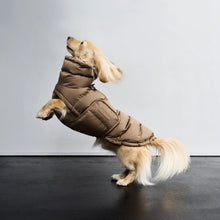 Laden Sie das Bild in den Galerie-Viewer, Cloud7 Hundemantel Dackel Alaska Sandy Brown
