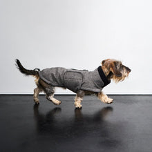 Laden Sie das Bild in den Galerie-Viewer, Cloud7 Hundemantel Dackel Brooklyn Tweed Black