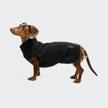 Laden Sie das Bild in den Galerie-Viewer, Cloud7 Body Warmer Dackel Aktiv Black