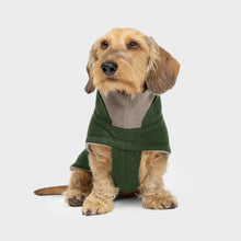 Laden Sie das Bild in den Galerie-Viewer, Cloud7 Hundemantel DACKEL Brooklyn Flanell Fern Green