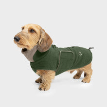 Laden Sie das Bild in den Galerie-Viewer, Cloud7 Hundemantel DACKEL Brooklyn Flanell Fern Green