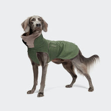 Laden Sie das Bild in den Galerie-Viewer, Cloud7 Hundemantel Brooklyn Flanell Fern Green Long
