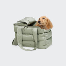 Laden Sie das Bild in den Galerie-Viewer, Cloud7 Hundetasche 2.0 Light Mint