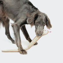 Laden Sie das Bild in den Galerie-Viewer, Cloud7 Hundespielzeug Schlange Smilla