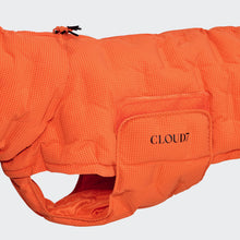 Laden Sie das Bild in den Galerie-Viewer, Cloud7 Hundemantel Alaska Seersucker Orange