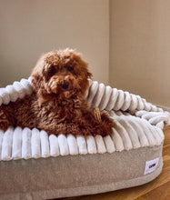 Laden Sie das Bild in den Galerie-Viewer, Beiges Hundebett aus Chenille mit Kapuze, Maso