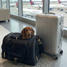 Laden Sie das Bild in den Galerie-Viewer, Hundetragetasche fürs Flugzeug Cloud Nest (Schwarz)