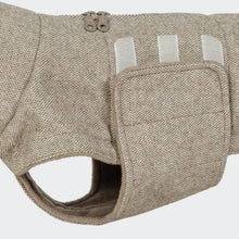 Laden Sie das Bild in den Galerie-Viewer, Cloud7 Hundemantel Dackel Brooklyn Tweed Beige