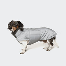 Laden Sie das Bild in den Galerie-Viewer, Cloud7 Hundemantel Dackel Brooklyn Reflective