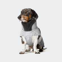 Laden Sie das Bild in den Galerie-Viewer, Cloud7 Hundemantel Dackel Brooklyn Reflective