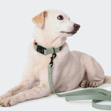 Laden Sie das Bild in den Galerie-Viewer, Cloud7 Hundehalsband BioThane Ipanema Mint-Neon Orange