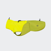 Laden Sie das Bild in den Galerie-Viewer, Cloud7 Hunderegenmantel Dackel AKTIV Neon Green/Light Olive