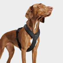 Laden Sie das Bild in den Galerie-Viewer, Cloud7 Y-1 Geschirr AKTIV Air-Mesh Black