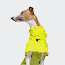 Laden Sie das Bild in den Galerie-Viewer, Cloud7 Hunderegenmantel AKTIV Neon Green/Light Olive