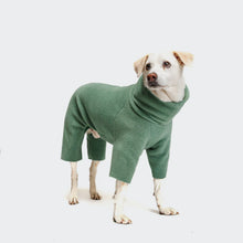 Laden Sie das Bild in den Galerie-Viewer, Cloud7 Hundepullover Fleece Cornwall Dusty Green