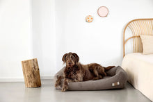 Laden Sie das Bild in den Galerie-Viewer, Orthopädisches Hundebett Cord - Fred, Braun