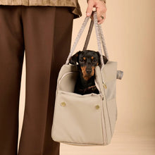 Laden Sie das Bild in den Galerie-Viewer, Hundetragetasche fürs Flugzeug Cloud Summit Beige