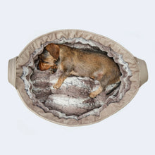 Laden Sie das Bild in den Galerie-Viewer, Cosy Dog Bed Velvet - Hundebett in Luchs-Optik
