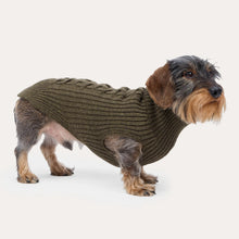 Laden Sie das Bild in den Galerie-Viewer, Leopold´s Finest Hundestrickpullover oliv