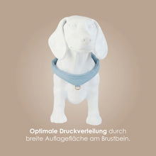 Laden Sie das Bild in den Galerie-Viewer, Step-In Leder Geschirr Pico für kleine Hunde hellblau