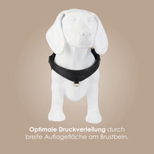 Laden Sie das Bild in den Galerie-Viewer, Step-In Leder Geschirr Pico für kleine Hunde schwarz
