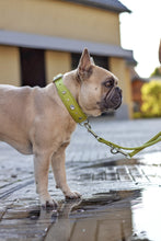 Laden Sie das Bild in den Galerie-Viewer, HALSBAND "DIAMOND SOMMER EDITION"