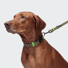 Laden Sie das Bild in den Galerie-Viewer, Cloud7 Hundehalsband BioThane Ipanema Olive-Neongreen