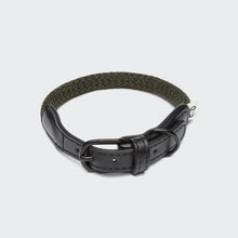 Laden Sie das Bild in den Galerie-Viewer, Cloud7 Hundehalsband Mauerpark Olive
