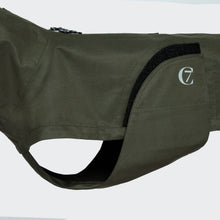 Laden Sie das Bild in den Galerie-Viewer, Cloud7 Hunderegenmantel Dackel Dublin Dark Olive
