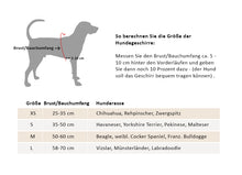 Laden Sie das Bild in den Galerie-Viewer, Leder Hundegeschirr Soft schwarz