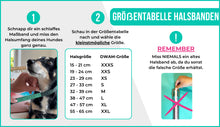 Laden Sie das Bild in den Galerie-Viewer, DWAM Hundehalsband Jones Blaues