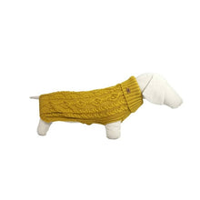 Laden Sie das Bild in den Galerie-Viewer, Hundepullover Paul  Honey