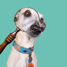 Laden Sie das Bild in den Galerie-Viewer, DWAM Hundehalsband Jones Blaues