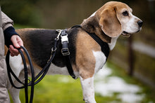 Laden Sie das Bild in den Galerie-Viewer, Leder-Hundegeschirr schwarz