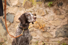 Laden Sie das Bild in den Galerie-Viewer, HALSBAND "LORD &amp; LADY"
