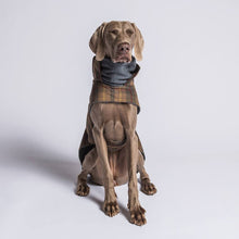 Laden Sie das Bild in den Galerie-Viewer, Cloud7 Hundemantel Brooklyn - Waxed Tartan