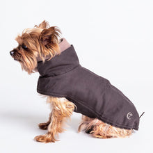 Laden Sie das Bild in den Galerie-Viewer, Cloud7 Hundemantel Brooklyn - wasserabweisend - graphit