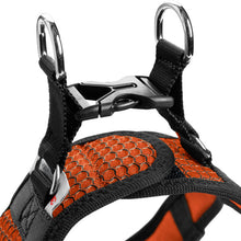 Laden Sie das Bild in den Galerie-Viewer, Geschirr Hilo Comfort orange
