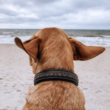 Laden Sie das Bild in den Galerie-Viewer, Halsband "Diamonds" - Coffee