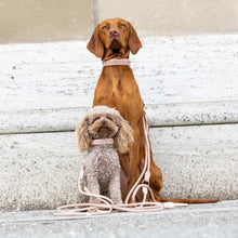 Laden Sie das Bild in den Galerie-Viewer, LEINE “CONNECTINI”, CHINTZ ROSÉ