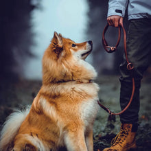 Laden Sie das Bild in den Galerie-Viewer, Leine "Connector" - Cinnamon