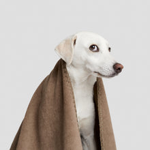 Laden Sie das Bild in den Galerie-Viewer, Cloud7 Hundedecke Soft Fleece Sand