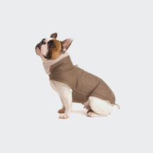 Laden Sie das Bild in den Galerie-Viewer, Cloud7 Hundemantel Brooklyn FR. BULLDOGGE Flanell Hazel
