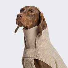 Laden Sie das Bild in den Galerie-Viewer, Cloud7 Hundepullover Gotland Beige