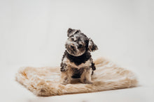 Laden Sie das Bild in den Galerie-Viewer, Felldecke Chinchilla beige